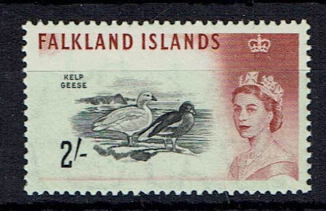Image of Falkland Islands SG 204a UMM British Commonwealth Stamp